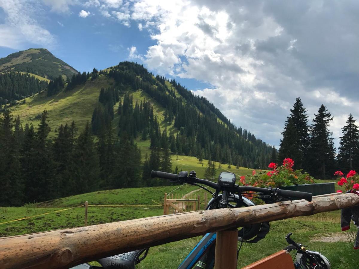 Bayern Resort Hotel - Adults Only - Mit Zugspitzblick - Eibsee-Naehe - Wellnessbereich - Naturpool Im Sommer グライナウ エクステリア 写真